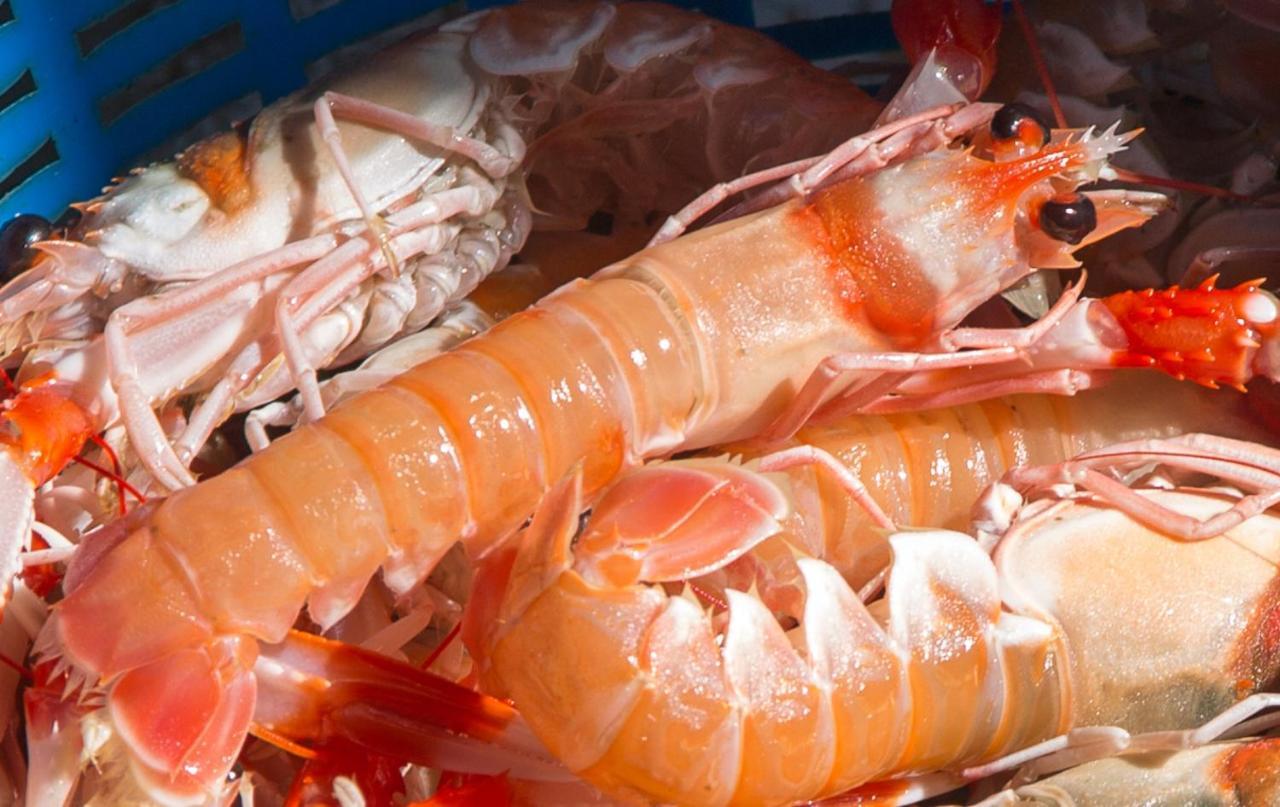 卡莱塔·德·贝莱斯La Casita Del Pescador别墅 外观 照片